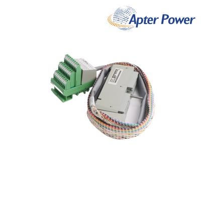 FOXBORO FBM3A/33A P0500RU Termination Cable Assembly