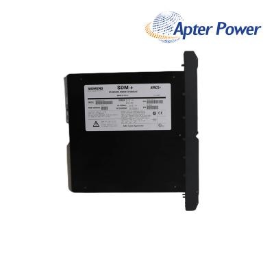 SIEMNES 39SDM024DCCBN 16101-174/12 Standard Discrete Module