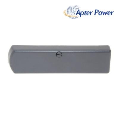 ICS Triplex T9193 Blanking cover