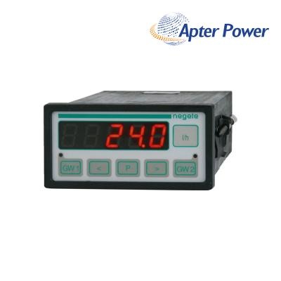 NEGELE PROZESSORANZEIGE DPM-GS-2GW-S Digital Display