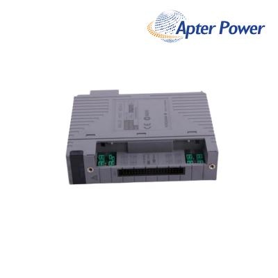 Yokogawa AAI143-S53 S1 Analog Input Module