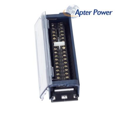 GE IC694TBB032E Terminal Block