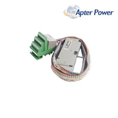 FOXBORO FBM3/33 P0500RU Termination Cable