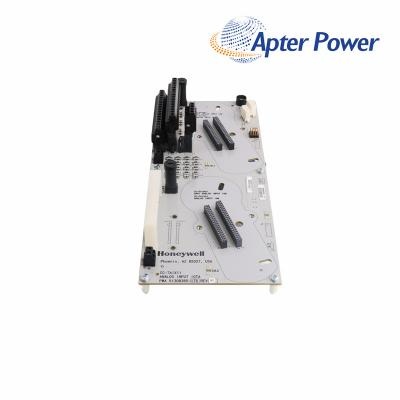 HOENYWELL DC-TAIX11 Analog Input IOTA Redundant