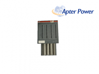 DI524 1SAP240000R0001