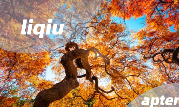 Liqiu—The Beginning of Autumn
