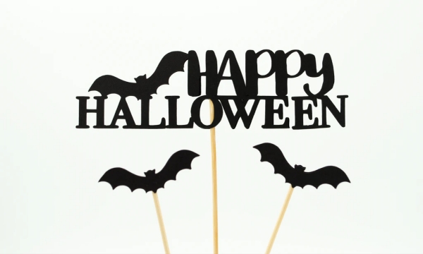 “Trick or Treat” Happy Halloween~