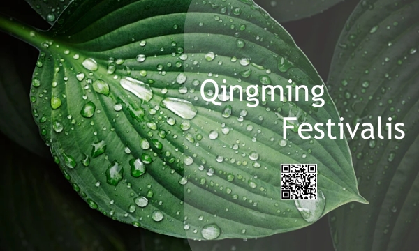 Traditional Chinese Festival